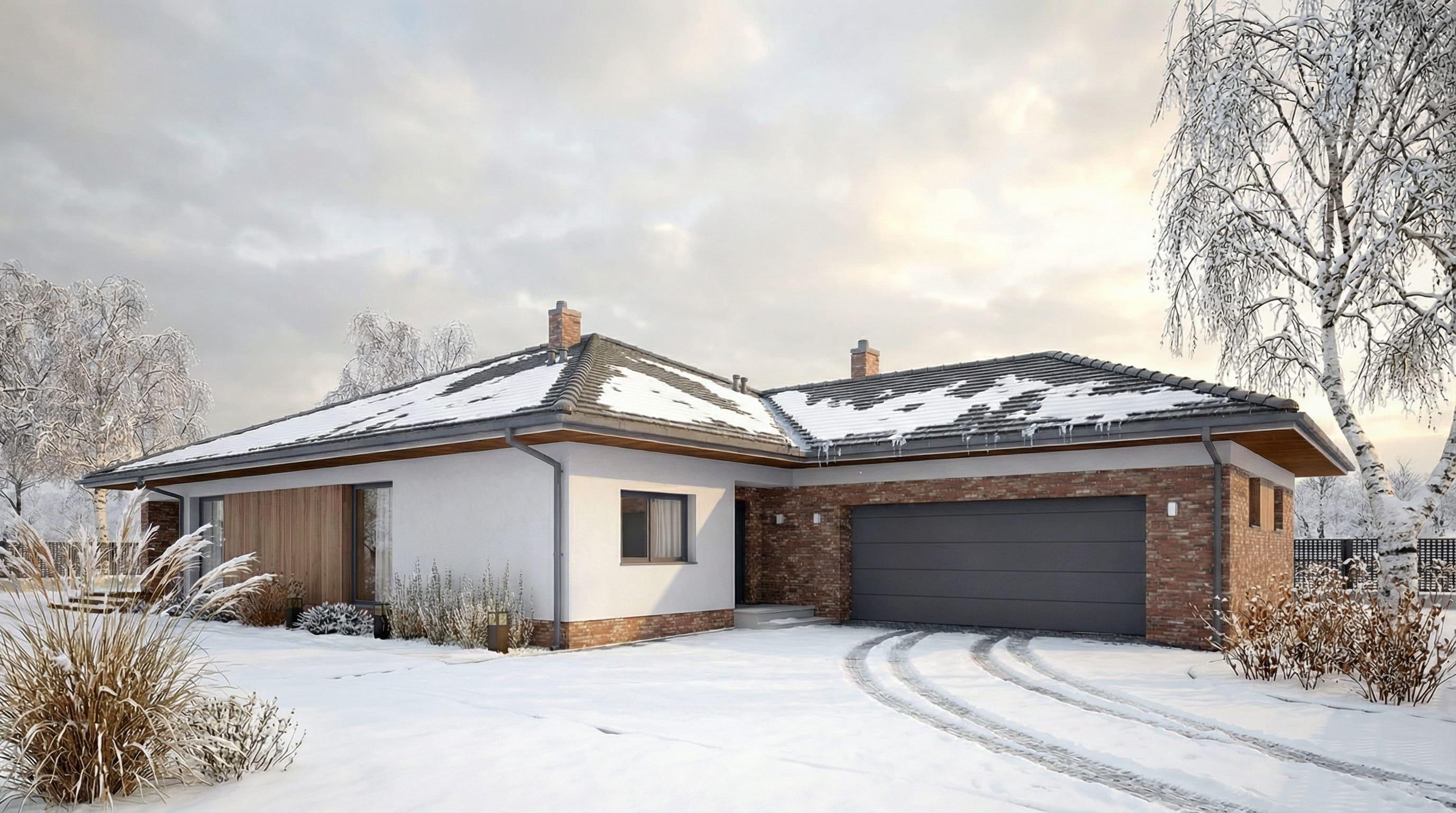 Projekt Elongatus I G2