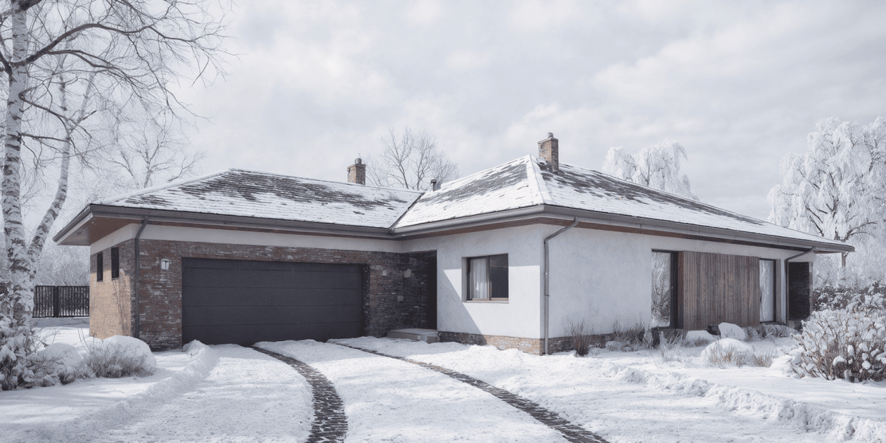 Projekt Elongatus I G2