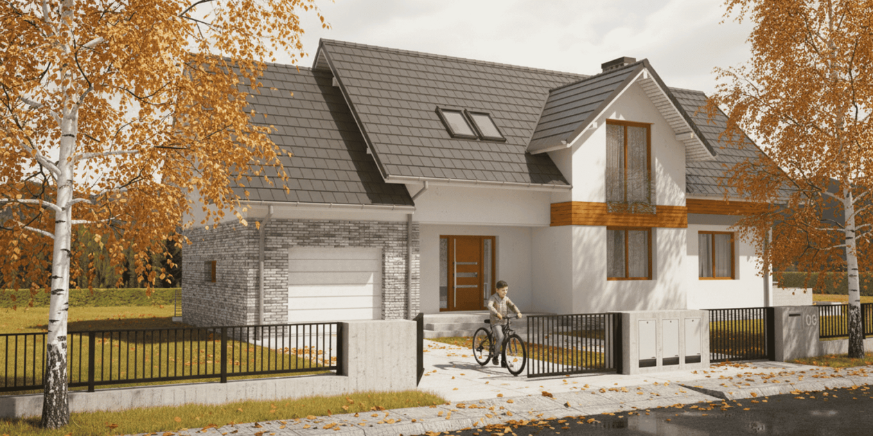 Projekt Fortis I PG1