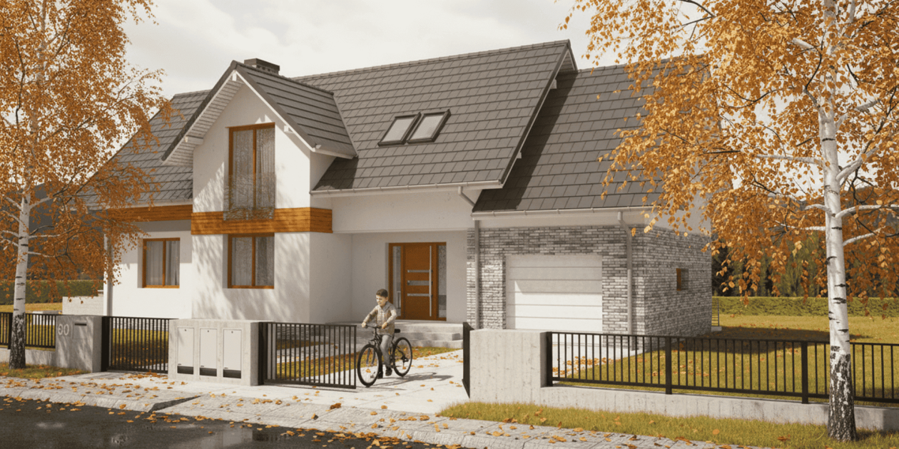 Projekt Fortis I PG1